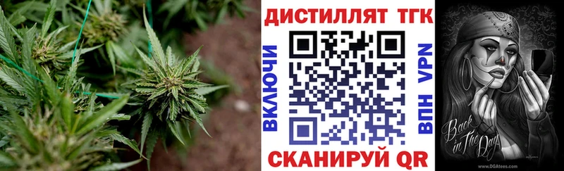 ТГК Wax  Купить закладки  Новосибирск 