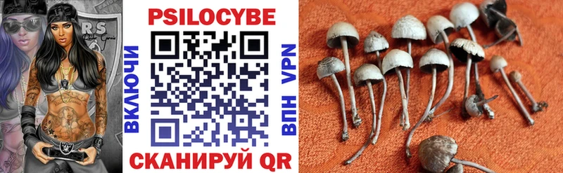 Галлюциногенные грибы ЛСД  Купить где  Новосибирск 